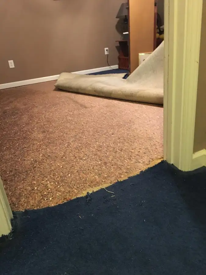Carpet pad removal revealing water damage during Water Mitigation Services in Whitehouse