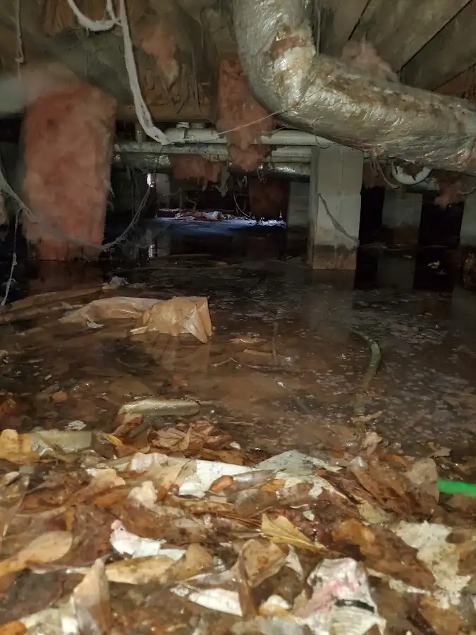 Crawl space flood assessment for Leak Detection & Repair in Whitehouse