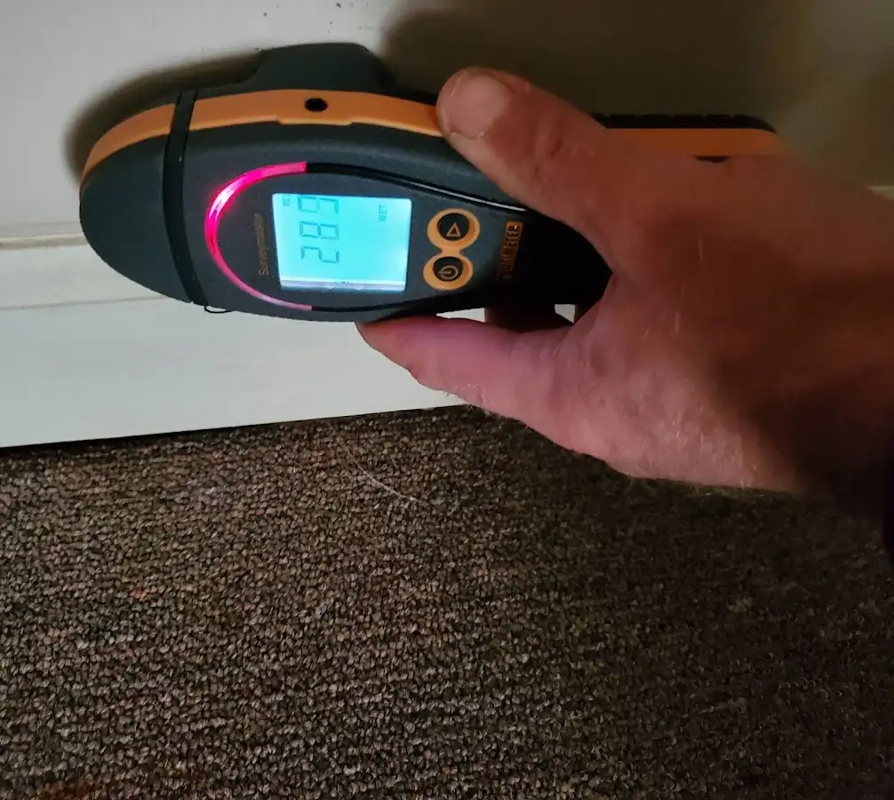 Moisture detection at baseboard during Mold Inspection & Testing in Whitehouse